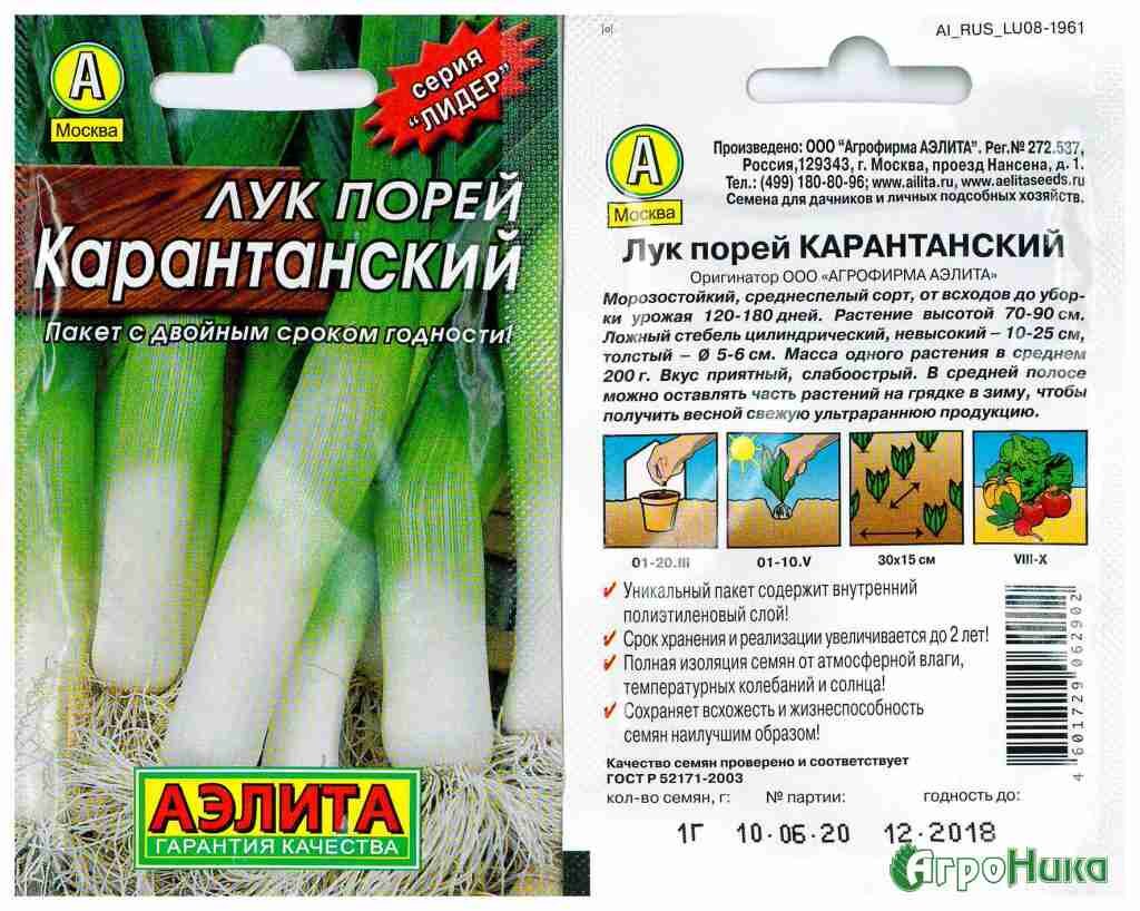 Лук-порей: описание и характеристика сортов