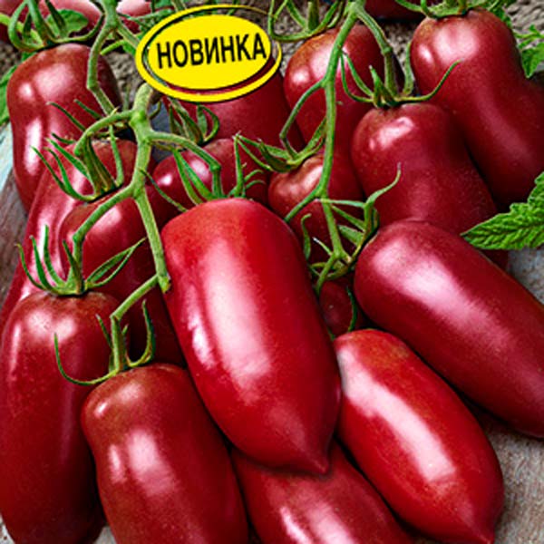 Томат сосулька черная - описание и характеристика сорта