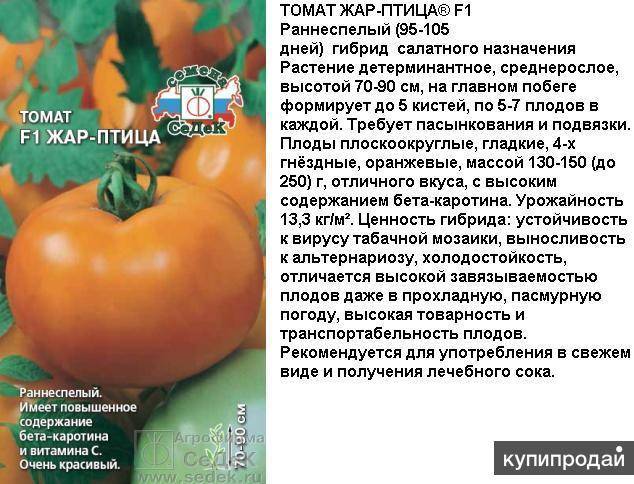 Сорт яблок жар-птица — самая морозостойкая полукультурка