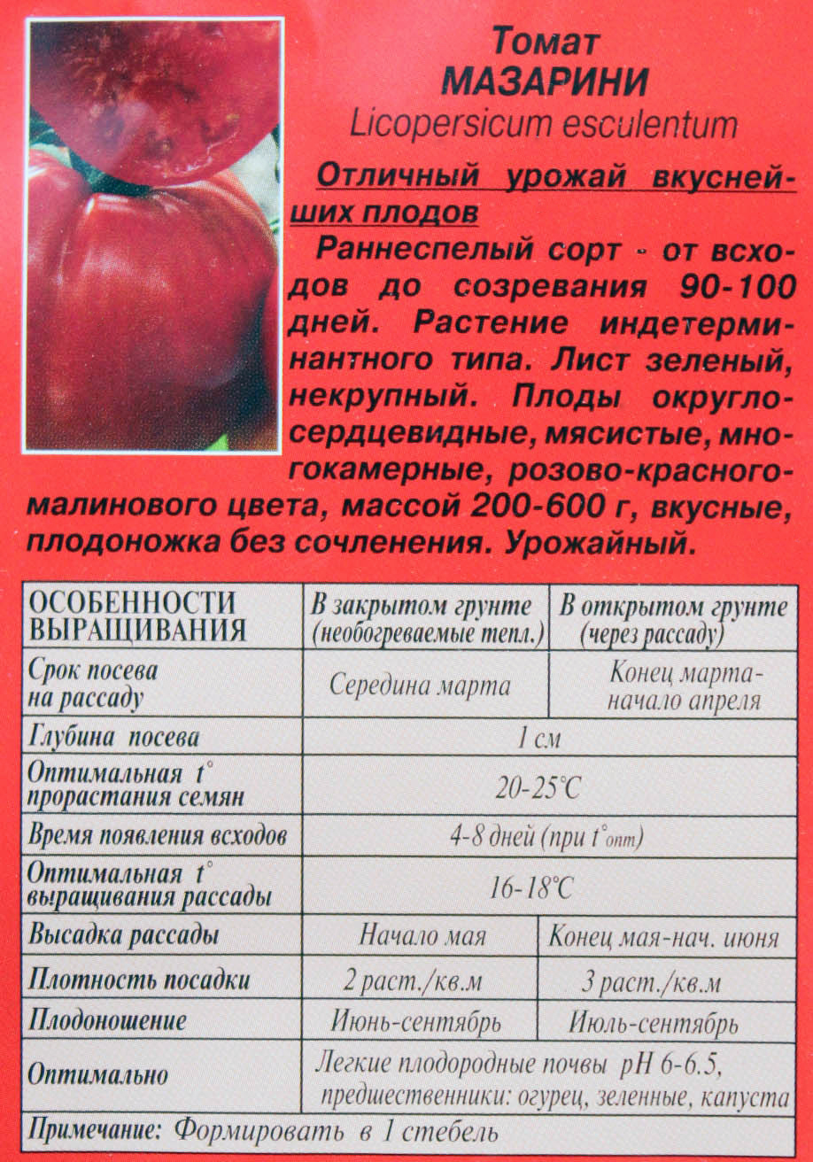 Томат мазарини: история, описание, характеристики и урожайность сорта + особенности выращивания и отзывы огородников