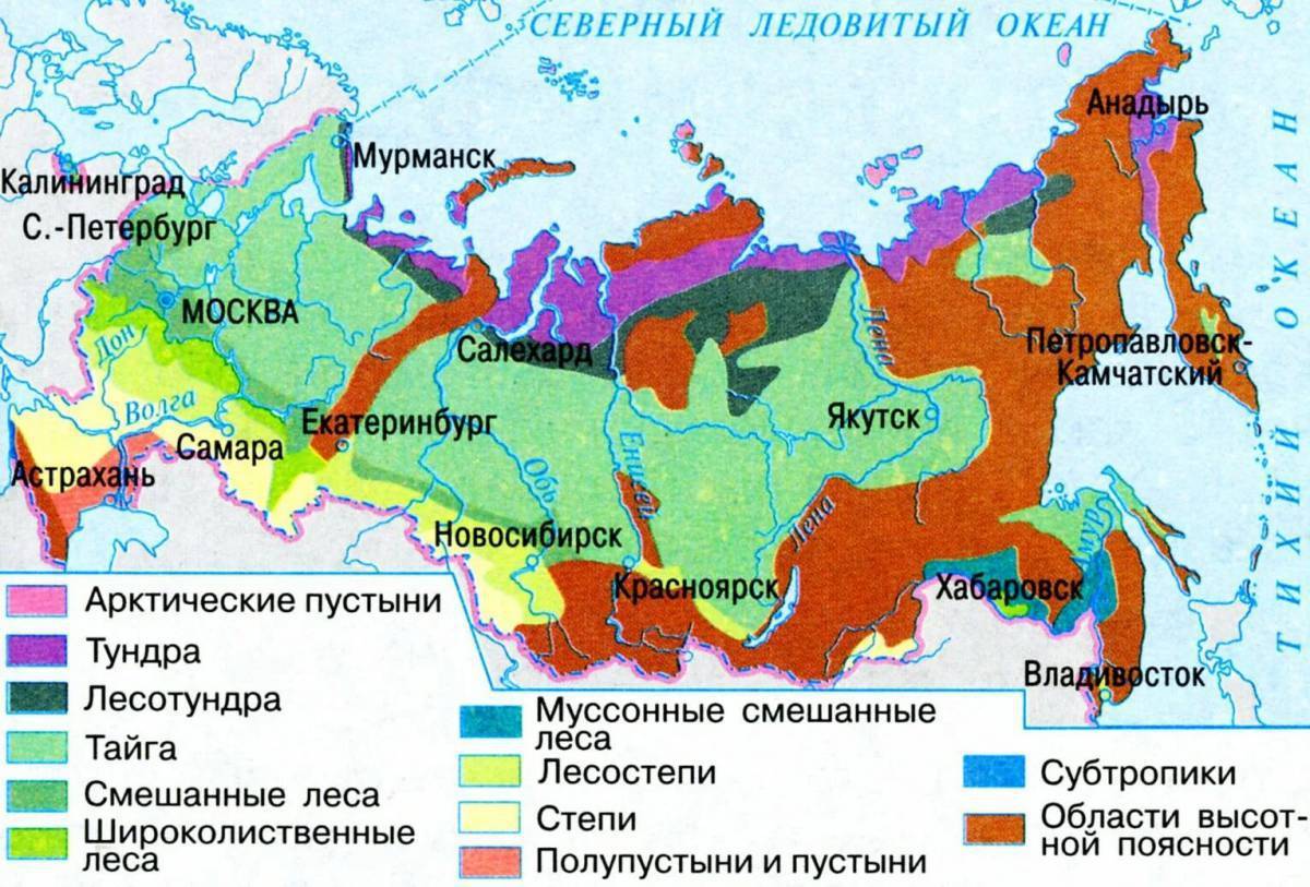 Слива. не ошибитесь с выбором сорта