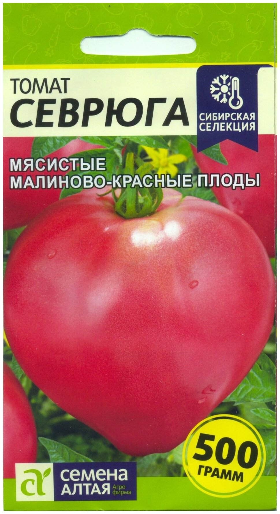 Томат севрюга (пудовик): характеристика и описание сорта, отзывы с фото