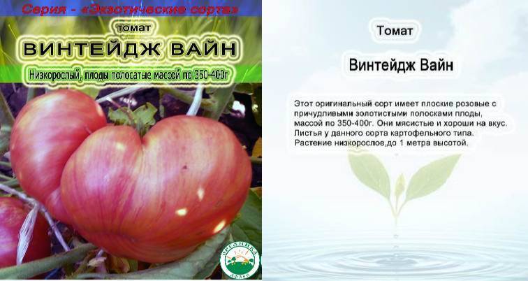 Отзывы тех, кто сажал Характеристика и урожайность сорта Винтажное вино Высокорослый, урожайный, среднеспелый сорт Заказать семена томатов