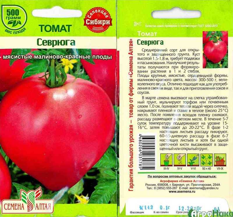 Описание и характеристика сорта Отличный крупноплодный томат Куст высотой до 1,8 метра, формировать в 1 стебель Купить семена томата Севрюга почтой