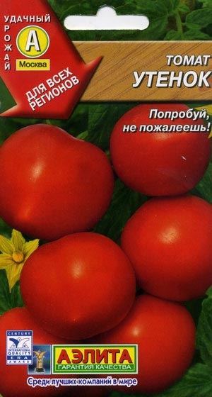 Томат утенок - характеристика и описание сорта, фото, урожайность, отзывы овощеводов, видео