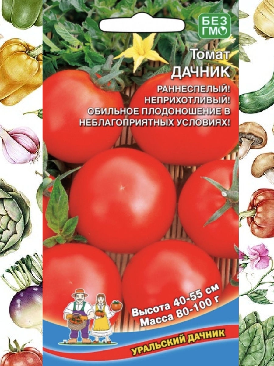 Томат дачник: характеристика и описание сорта, фото, отзывы, выращивание и уход