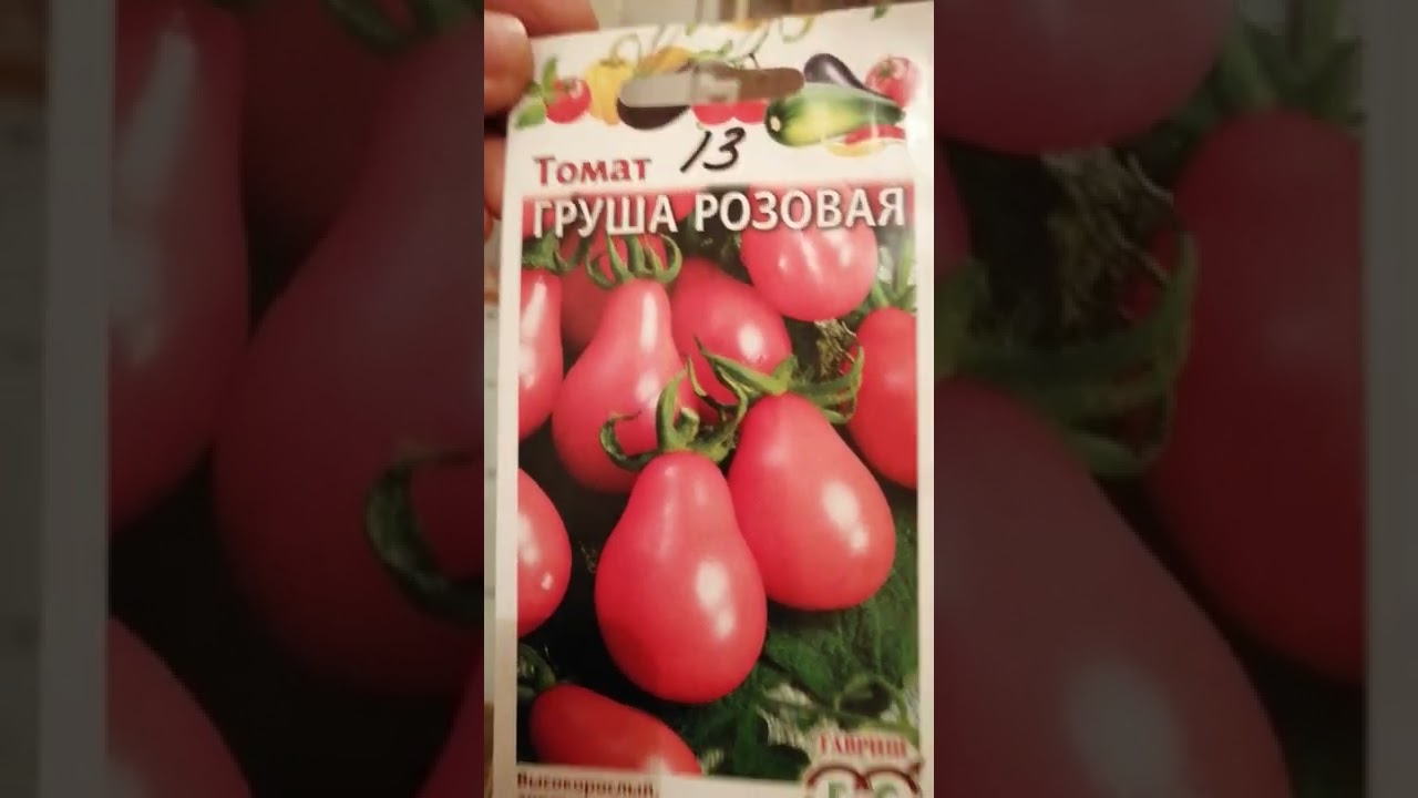 Томат засолочное чудо: описание сорта, отзывы, фото