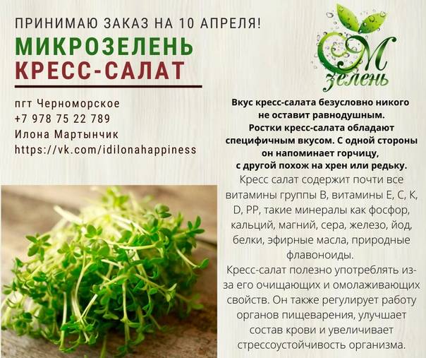 Кресс-салат - сельские жители