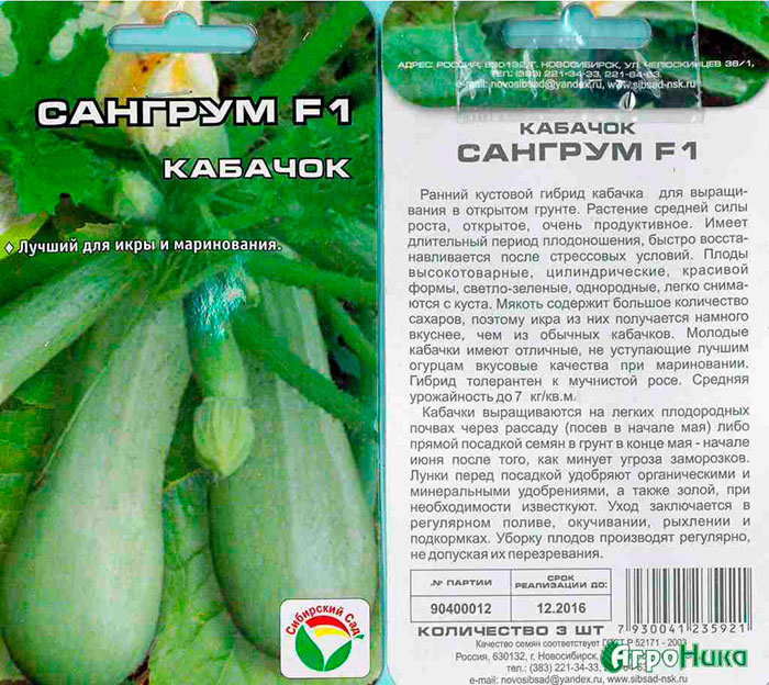 Сорта крупных кабачков