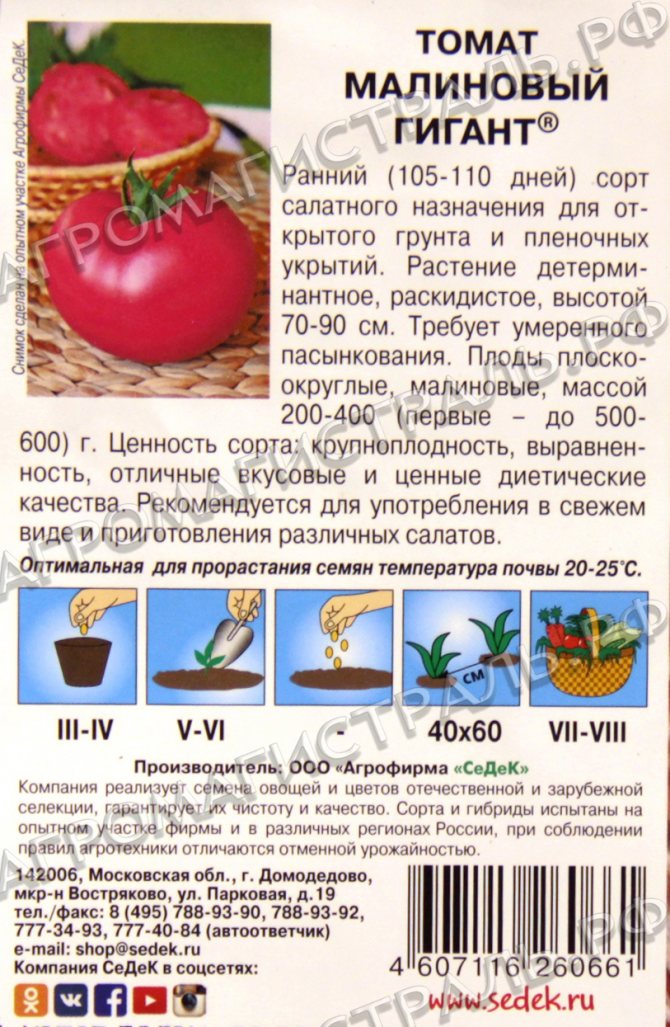 Томат исполин: описание сорта, фото, отзывы
