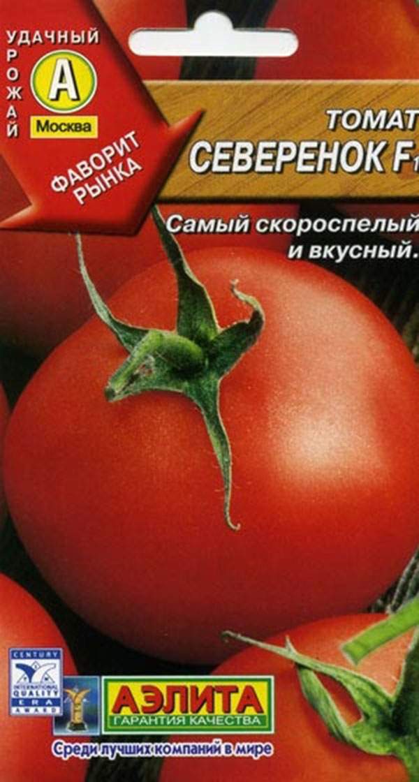 Томат северенок: отзывы, фото, урожайность, описани еи характеристика