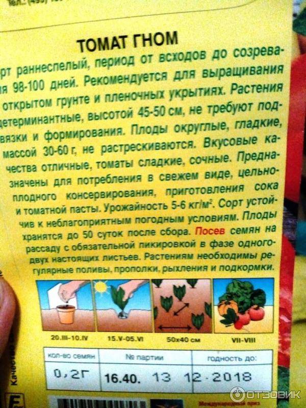 Описание  и характеристика “викторианский гном”