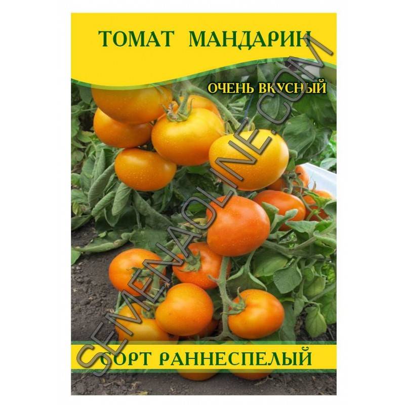 Томат мандаринка: характеристика и описание сорта, отзывы об урожайности помидоров, видео и фото семян