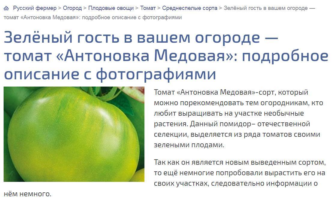 Лучшие сорта томатов для подмосковья - фото, названия и описания (каталог)