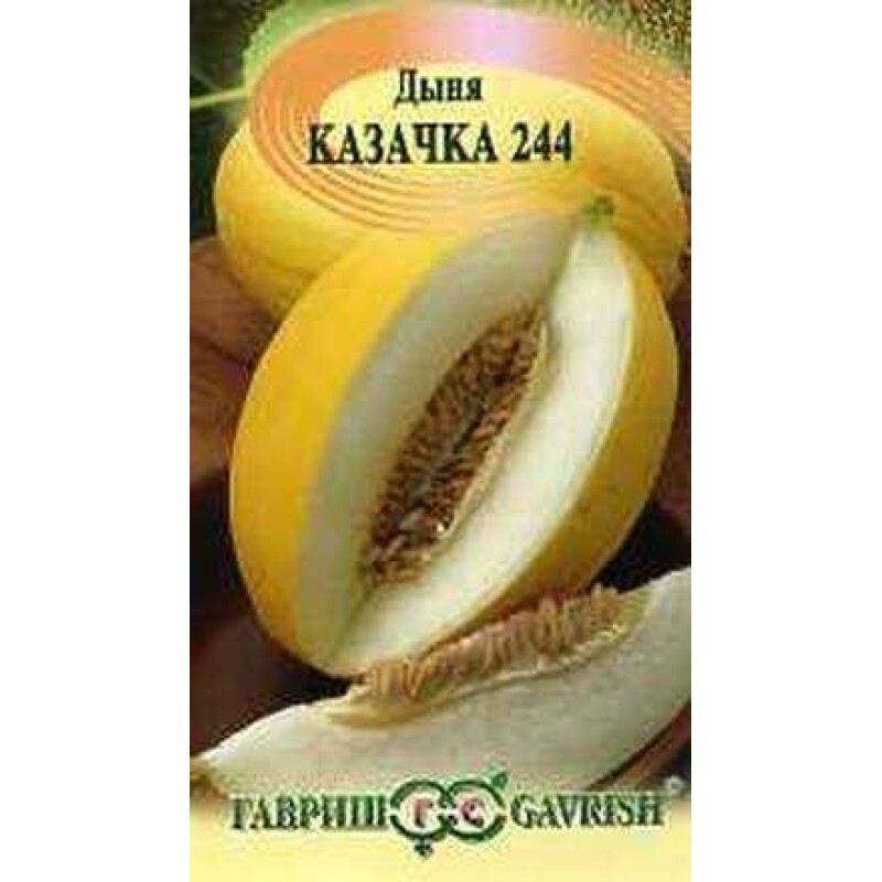 Дыня казачка 244 — описание и характеристики сорта, особенности посадки и выращивания, отзывы