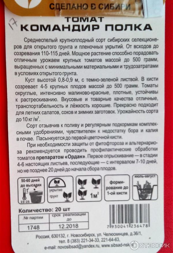 Томат командир полка: характеристика и описание селекционного сорта с фото