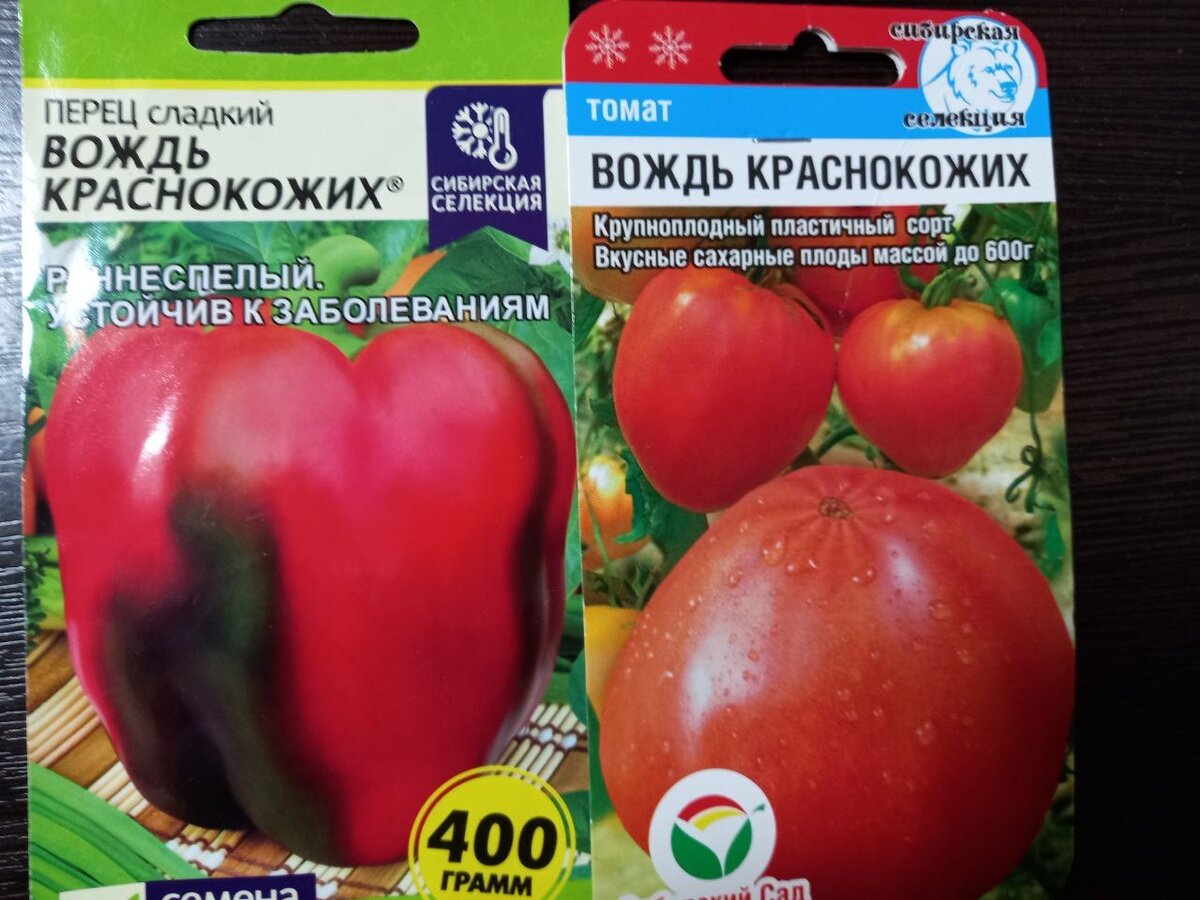Томат вождь краснокожих описание сорта фото отзывы