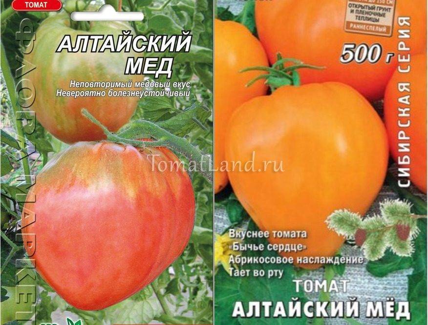 Томат алтайский оранжевый: характеристика и описание сорта, урожайность с фото
