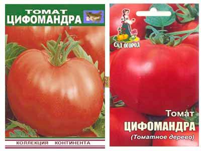 Томат цифомандра: описание сорта, характеристика, отзывы об урожайности, фото