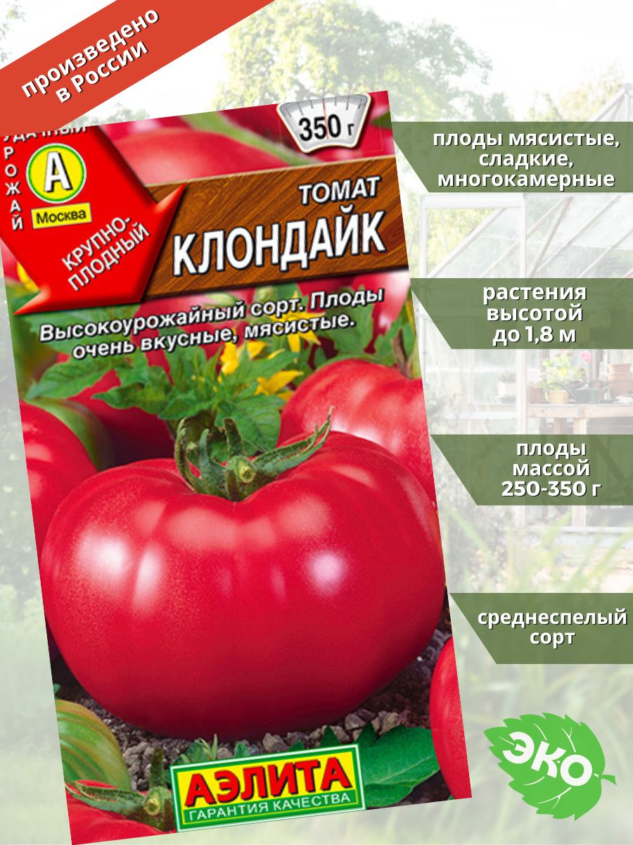 Настоящий самородок среди томатов — клондайк розовый: отзывы об урожайности и описание сорта