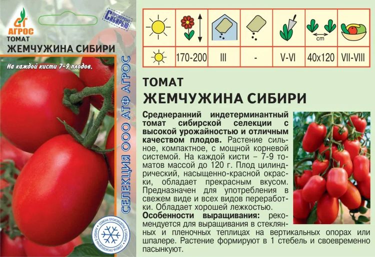 Урожайная гордость из латвии — томат юрмала: описание сорта и особенности его выращивания
