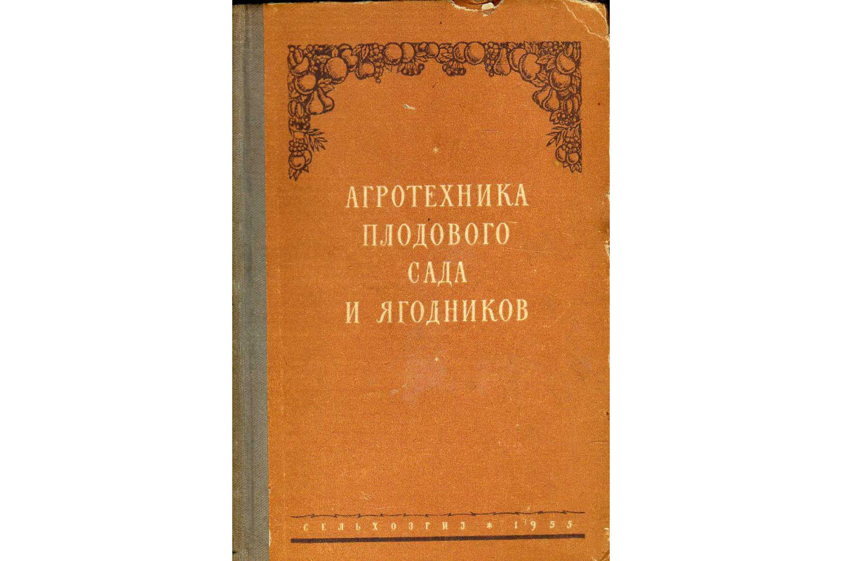Слива для ленинградской области, сорта, описания, фото