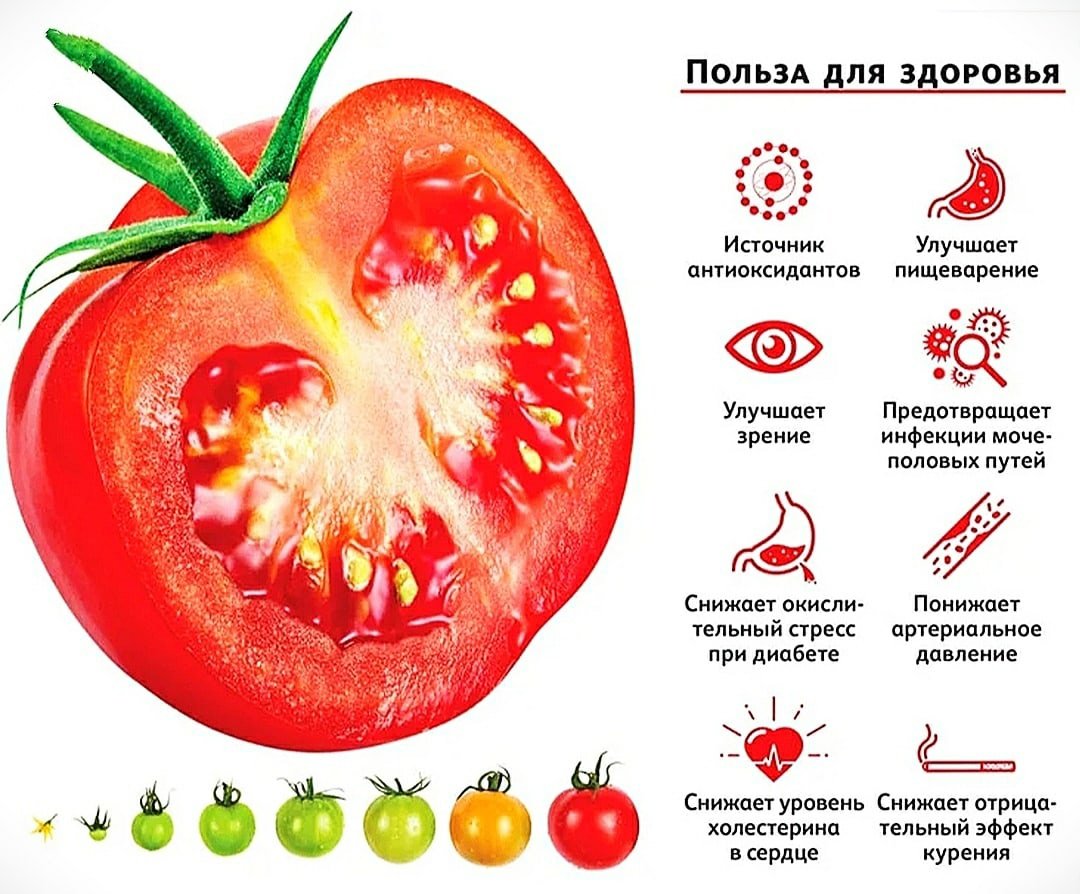 Сорт помидоров бабушкино: описание, отзывы огородников, фото, посадка и уход, характеристика, семена партнер
