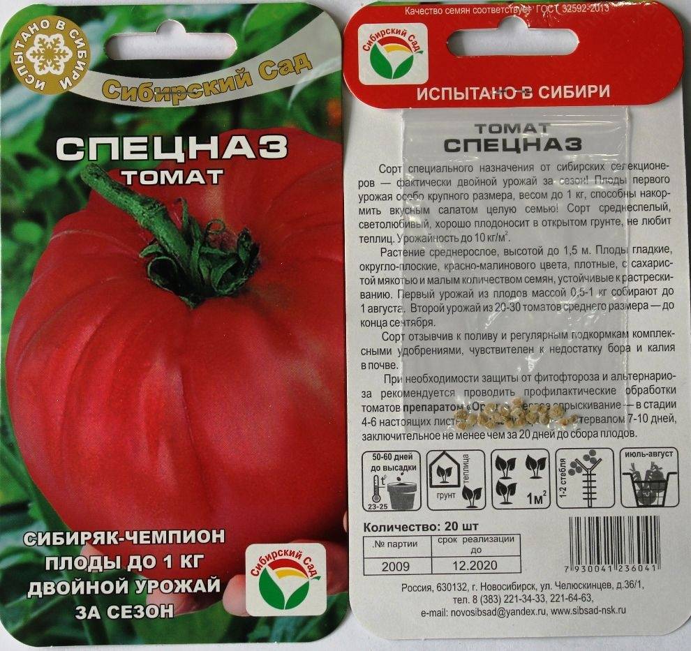 Томат столыпин