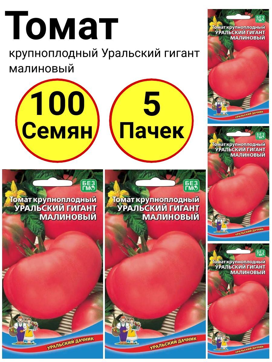 Помидоры для урала: описание 35 лучших сортов, фото и отзывы
