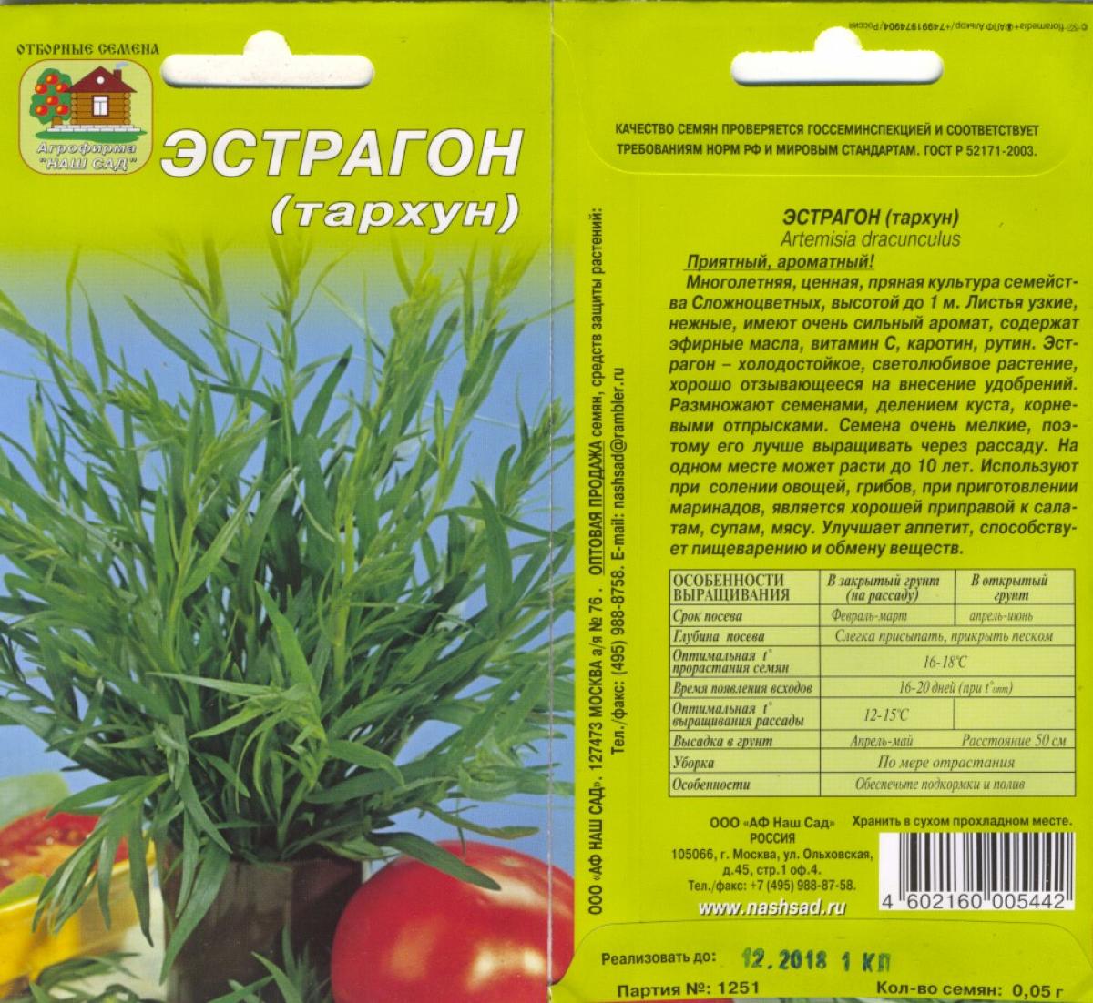 Тархун (эстрагон)🌿 15 полезных свойств, польза и вред при болезнях, исследование
