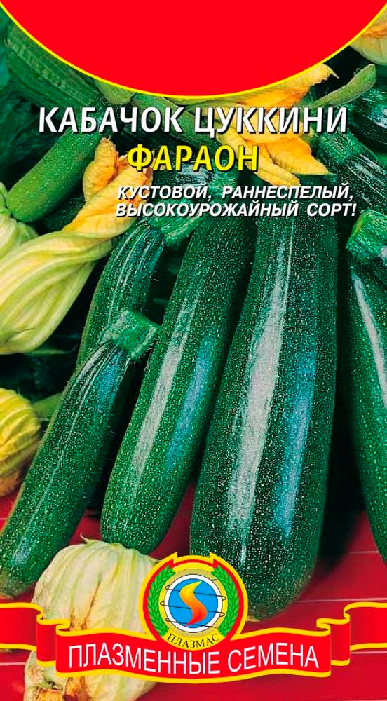 Кабачок 'фараон'